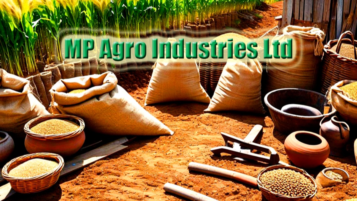 MP Agro Industries Ltd re-appoints Yunus Memon as MD