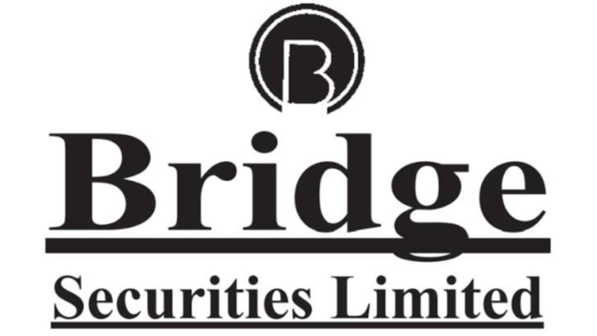 Director-level changes at Bridge Securities Ltd