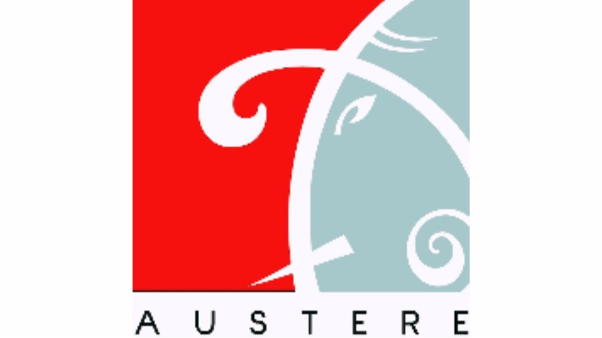Austere Systems Ltd appoints Mayank Gupta as Addl. Director