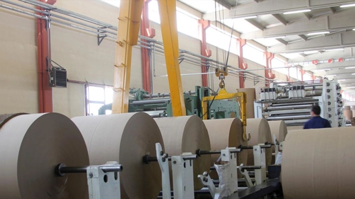 Naynesh Pasari gets fresh term as Shree Krishna Paper Mills MD