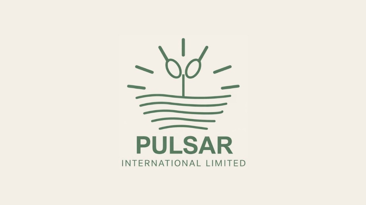 Pulsar International appoints Dhaval Shah as Ind. Director