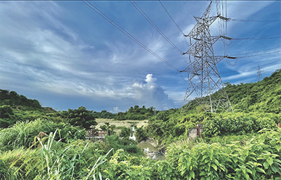 POWERGRID posts profit after tax of â‚¹ 3,631 cr, total income â‚¹ 11,444 cr